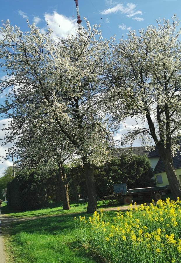 Ferienwohnung Landidylle Nassheck Dieblich Bagian luar foto