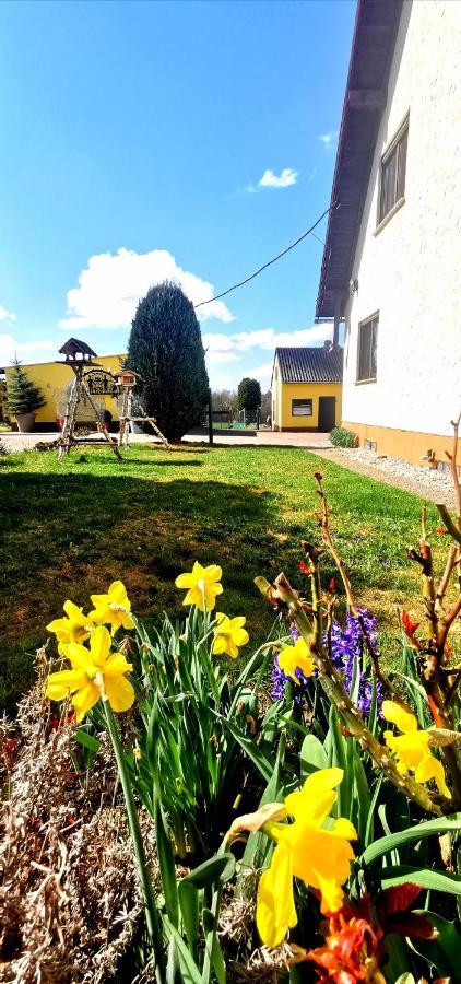 Ferienwohnung Landidylle Nassheck Dieblich Bagian luar foto