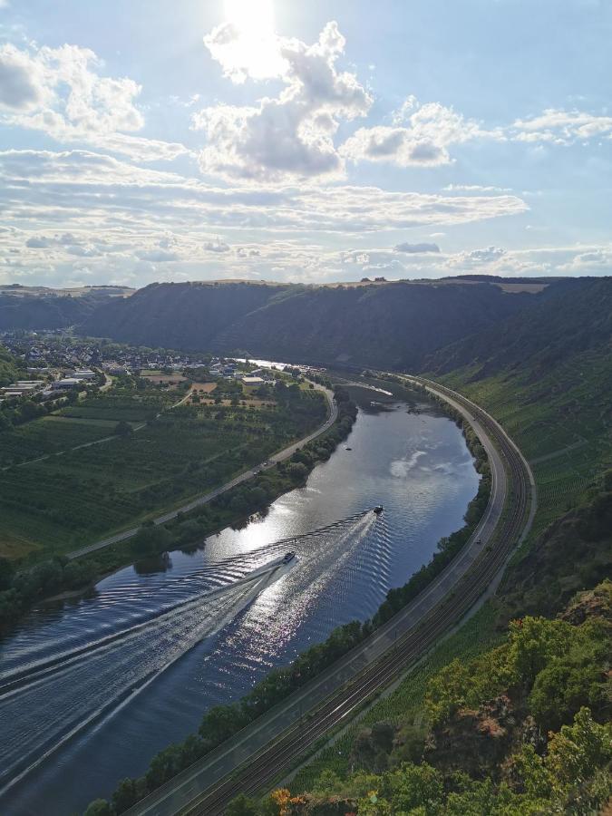 Ferienwohnung Landidylle Nassheck Dieblich Bagian luar foto