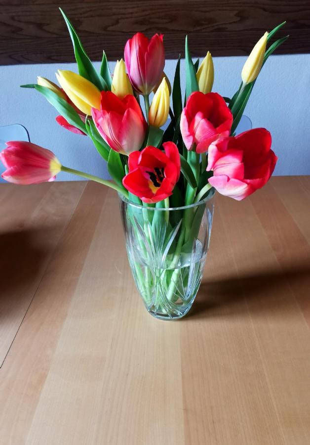 Ferienwohnung Landidylle Nassheck Dieblich Bagian luar foto
