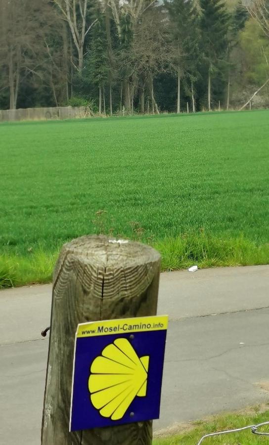 Ferienwohnung Landidylle Nassheck Dieblich Bagian luar foto
